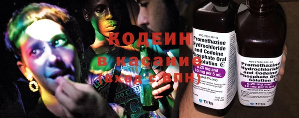 твердый Протвино