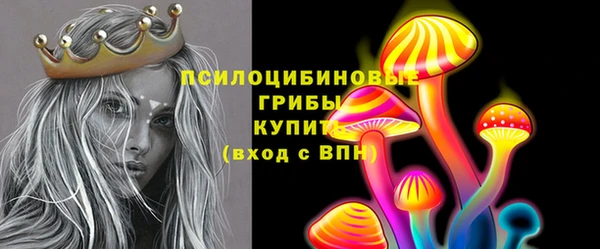 apvp Абаза