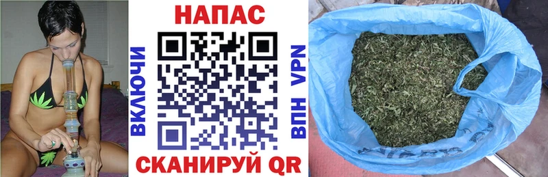 Бошки Шишки тримм  закладки  Щучье 